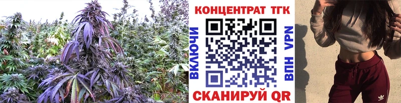 ТГК жижа  Купить  Свободный 