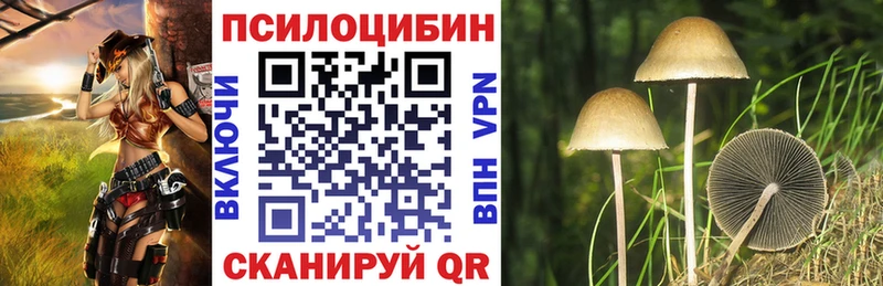 Купить закладки Свободный Галлюциногенные грибы Psilocybine cubensis